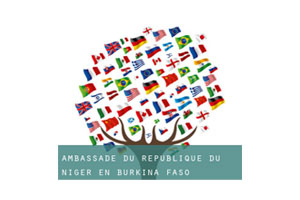 AMBASS-NIGER